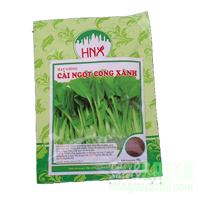 Hạt rau mầm cải ngọt